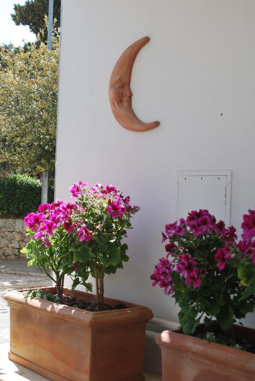 Hotel Donatello Alberobello Eksteriør bilde